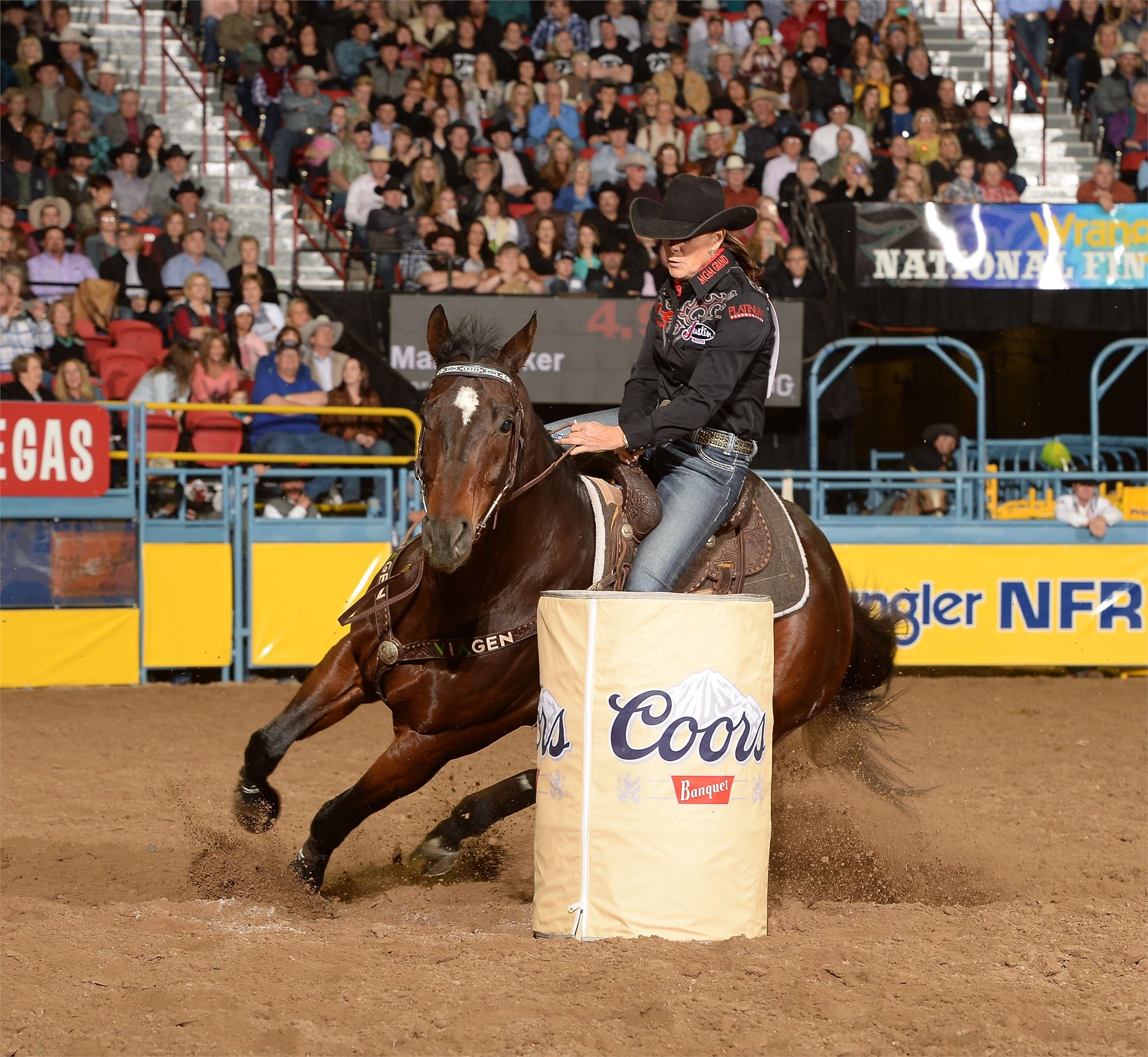 About the Sport of Rodeo - Miss Rodeo America